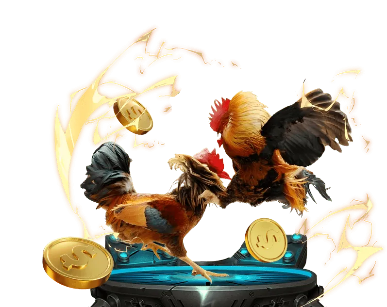 Các yếu tố ảnh hưởng đến tỷ lệ kèo